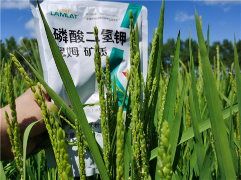 水溶肥，磷酸二氫鉀
