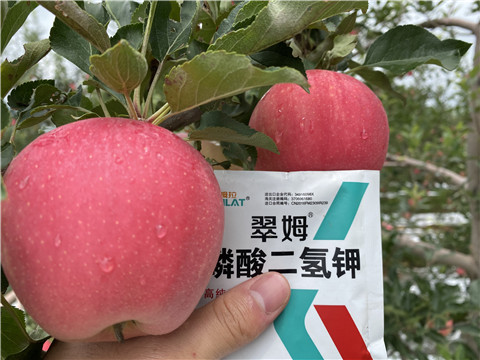 高鉀水溶肥，磷酸二氫鉀，拉姆拉，翠姆