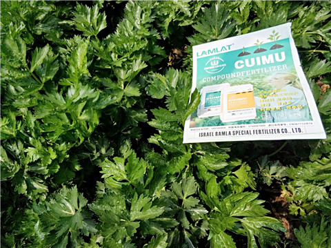 高鉀水溶肥，磷酸二氫鉀，拉姆拉，翠姆