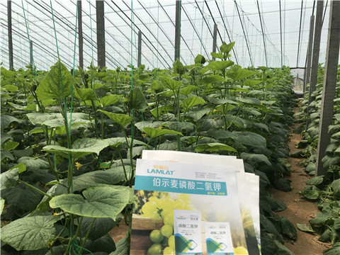 水溶肥，拉姆拉