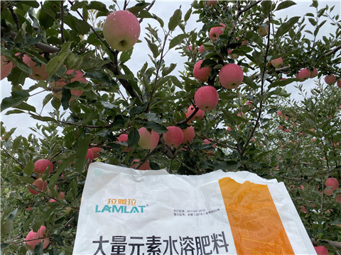 進(jìn)口水溶肥品牌，拉姆拉，翠姆