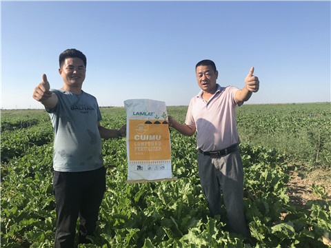 進(jìn)口水溶肥品牌，拉姆拉，翠姆