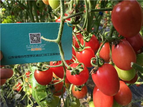 進口水溶肥，翠姆，拉姆拉