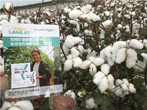 進口水溶肥，翠姆，拉姆拉