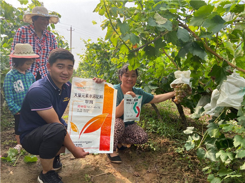 進(jìn)口水溶肥，拉姆拉