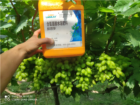 進(jìn)口水溶肥，拉姆拉