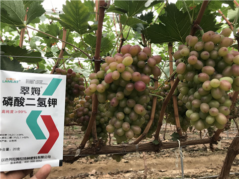 進(jìn)口水溶肥，拉姆拉