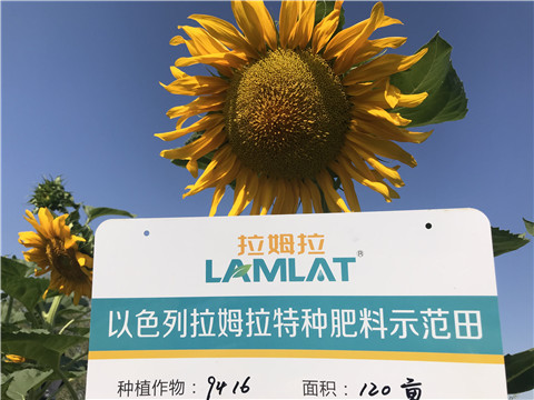 進(jìn)口水溶肥，拉姆拉