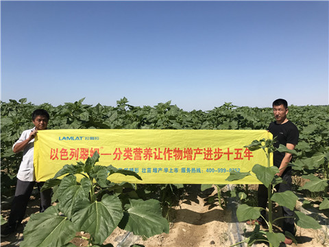 進(jìn)口水溶肥，拉姆拉