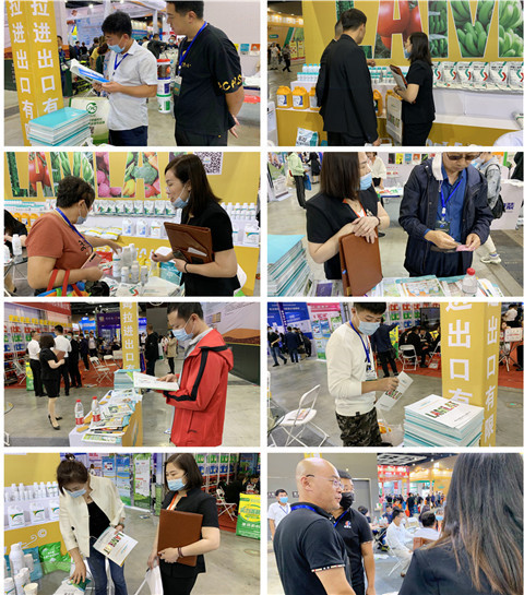 植保會(huì)，拉姆拉，翠姆