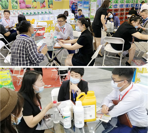 植保會(huì)，拉姆拉，翠姆