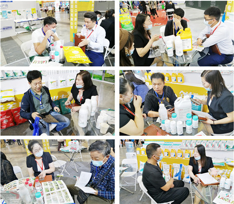 植保會(huì)，拉姆拉，翠姆