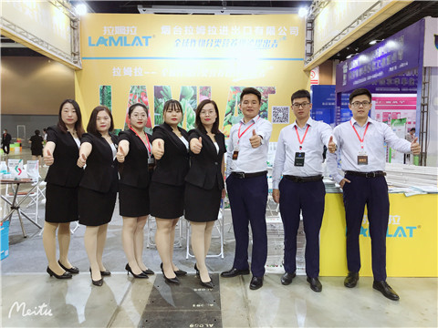 植保會(huì)，拉姆拉，翠姆