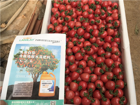 微生物菌劑，磷酸二氫鉀，翠姆，拉姆拉