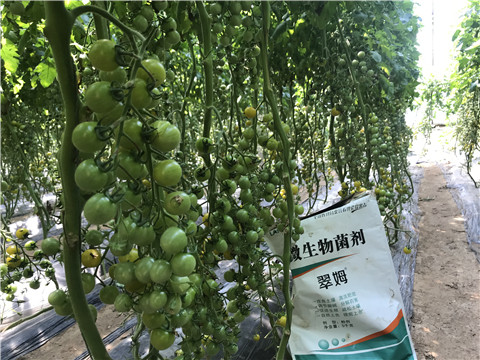 微生物菌劑，磷酸二氫鉀，翠姆，拉姆拉