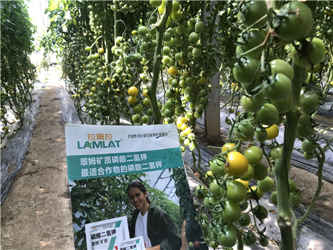 微生物菌劑，磷酸二氫鉀，翠姆，拉姆拉