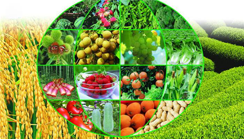 水溶肥，拉姆拉，翠姆