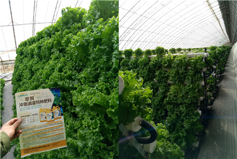 水溶肥，拉姆拉，翠姆