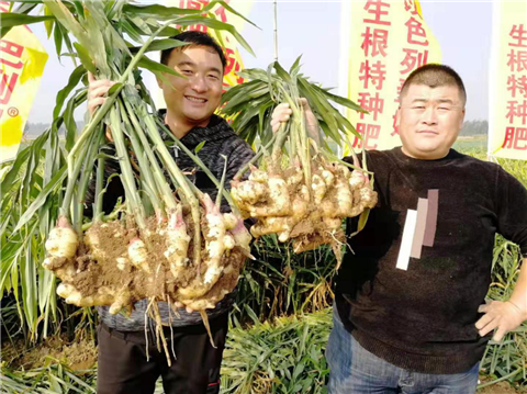 水溶肥，翠姆，拉姆拉