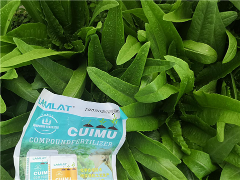水溶肥，翠姆，拉姆拉