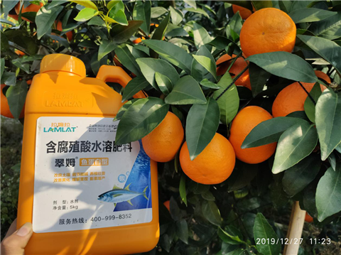 水溶肥，翠姆，拉姆拉