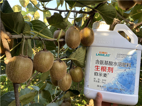 水溶肥，拉姆拉