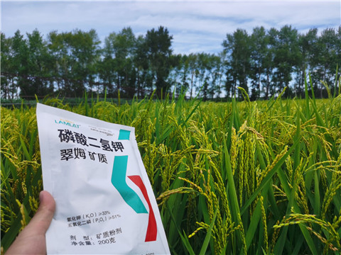 磷酸二氫鉀，拉姆拉，翠姆