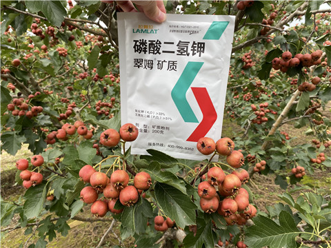 磷酸二氫鉀，拉姆拉，翠姆