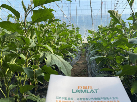 進口水溶肥，翠姆，拉姆拉