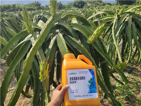 水溶肥，拉姆拉，翠姆