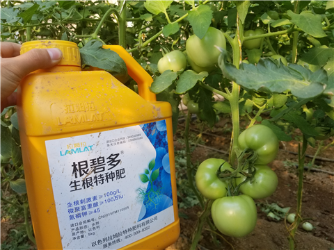 葉面肥，磷酸二氫鉀，微生物菌劑，翠姆，拉姆拉