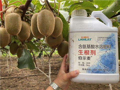 水溶肥，生根劑，微生物菌劑，伯示麥，拉姆拉