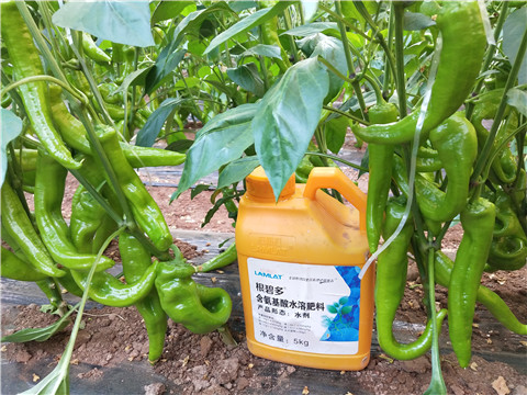 水溶肥，拉姆拉