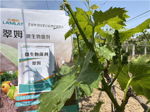 微生物菌劑，拉姆拉，翠姆