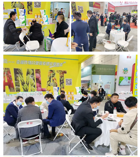 水溶肥，拉姆拉，翠姆