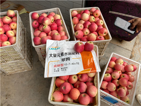 水溶肥，大量元素水溶肥，翠姆，拉姆拉