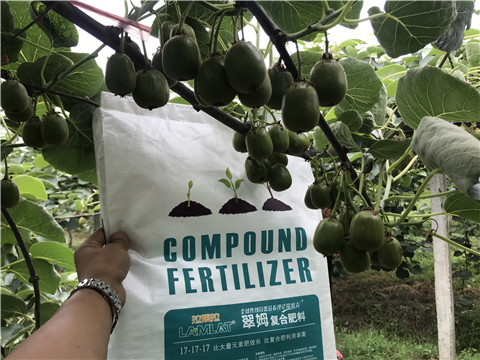 顆粒水溶肥，拉姆拉，翠姆