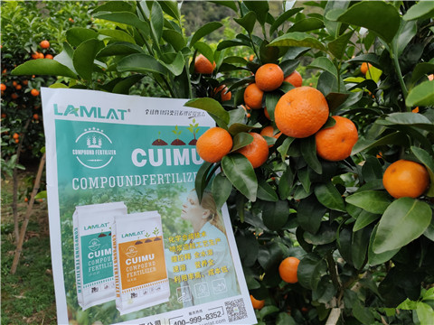 顆粒水溶肥，拉姆拉，翠姆