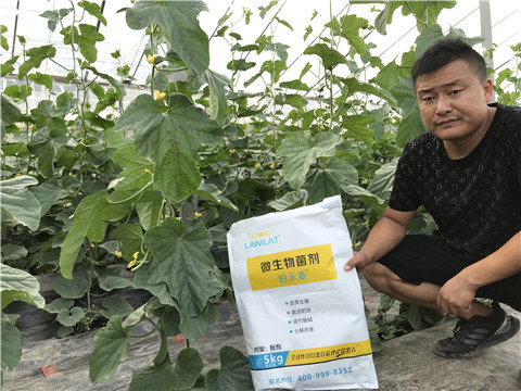 水溶肥，拉姆拉