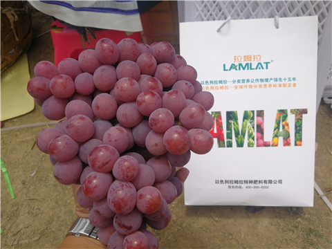 葉面肥，磷酸二氫鉀，鈣肥，翠姆，拉姆拉