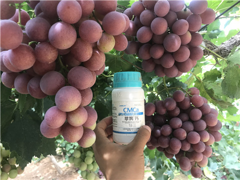 葉面肥，磷酸二氫鉀，鈣肥，翠姆，拉姆拉