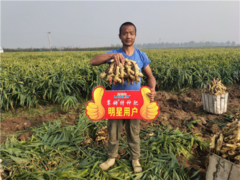 進口水溶肥，拉姆拉，翠姆