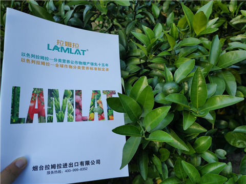 水溶肥，拉姆拉，翠姆