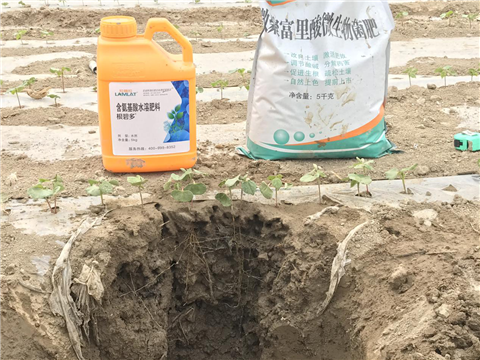 水溶肥，拉姆拉，翠姆