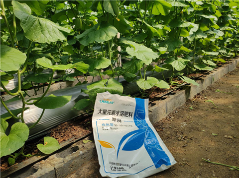 大量元素水溶肥，拉姆拉，翠姆