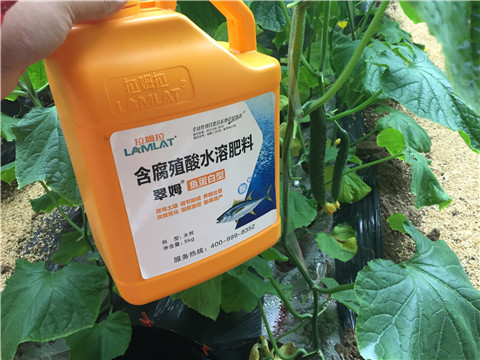 滴灌肥，拉姆拉，翠姆