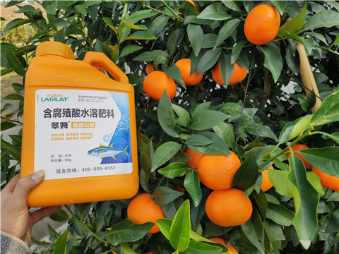 滴灌肥，拉姆拉，翠姆