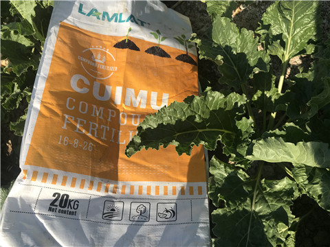 顆粒水溶肥，拉姆拉，翠姆