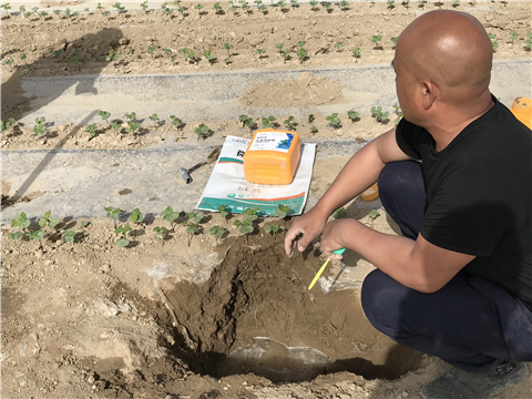 水溶肥，拉姆拉，翠姆