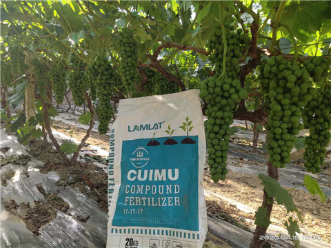 水溶肥，拉姆拉，翠姆